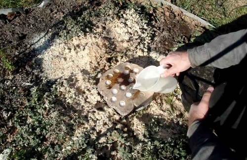 Как избавиться от деревьев и пней на участке. Как удалить пень с помощью селитры – пошаговая инструкция