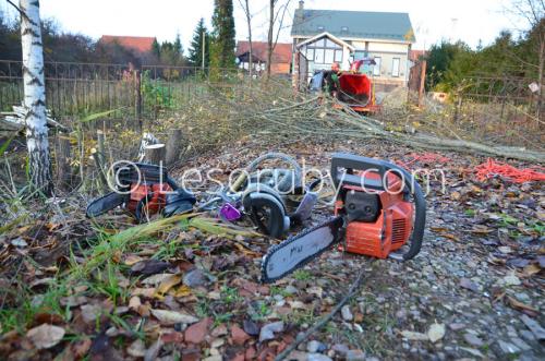 Сколько стоит расчистить участок. Как мы рассчитываем стоимость