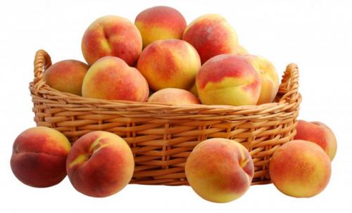 Персик донской морозоустойчивый описание сорта фото отзывы