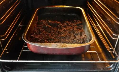 Как вырастить древовидный Пион из семян в домашних условиях. Как посадить Пион семенами в домашних условиях