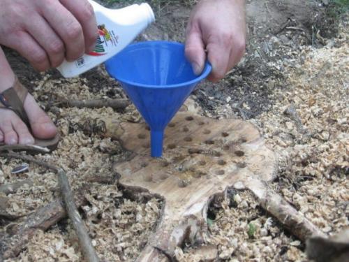 Как избавиться от поросли липы. Советы и рекомендации: как удалить молодую поросль деревьев с участка