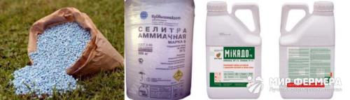 Как уничтожить корни кустарников с помощью химии. Чем полить дерево, чтобы оно быстро засохло?