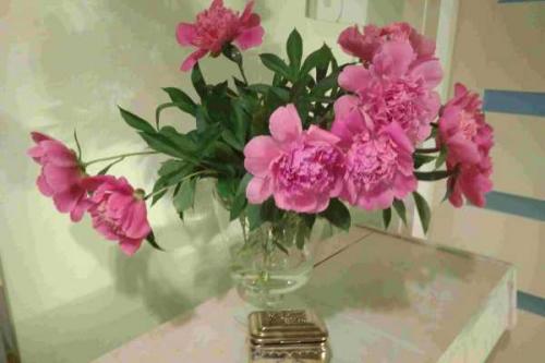 Как ухаживать за пионами в вазе. Как сохранить пионы в вазе