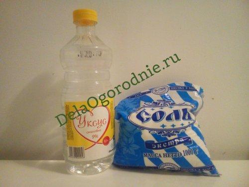 Избавиться от сорняков уксусом и солью. Борьба с сорняками с использованием уксуса и соли