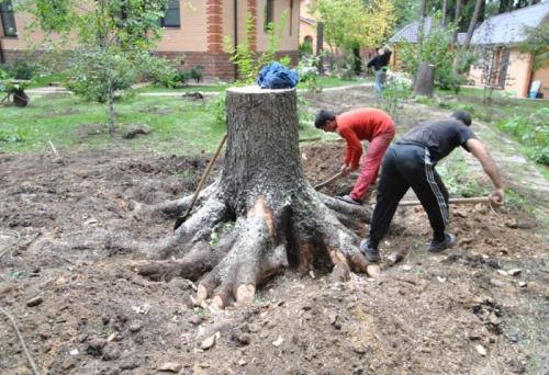 Удаление пней своими руками. Механические способы