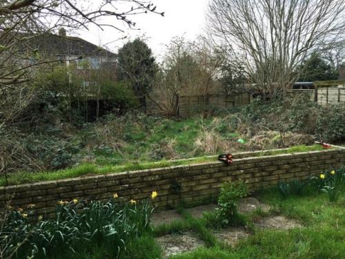 Очистка участка от бурьяна. Одна стратегия для любой ситуации