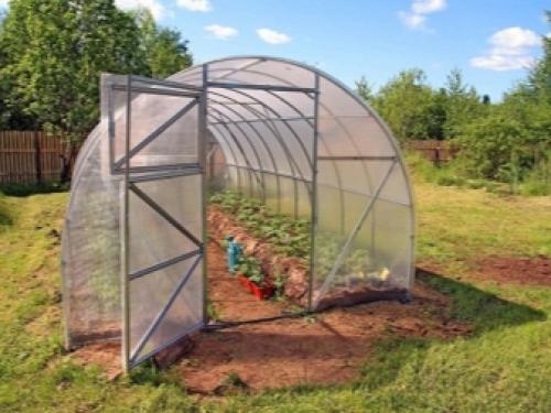 Расчистка садового участка от зарослей кустарников. Наши решения по уборке пней 05