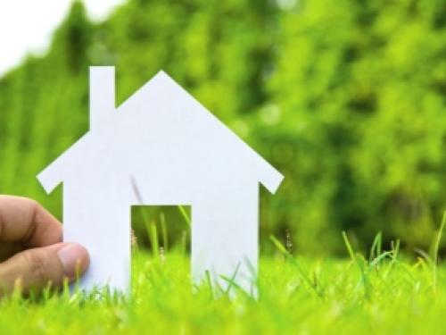 Расчистка садового участка от зарослей кустарников. Наши решения по уборке пней 04