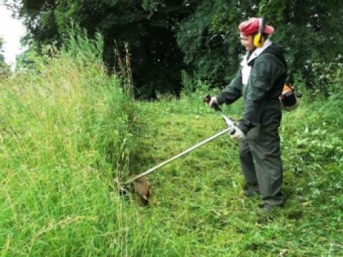 Расчистка садового участка от зарослей кустарников. Наши решения по уборке пней 02