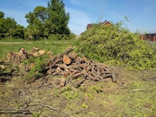 Расчистка садового участка от зарослей кустарников. Наши решения по уборке пней 01