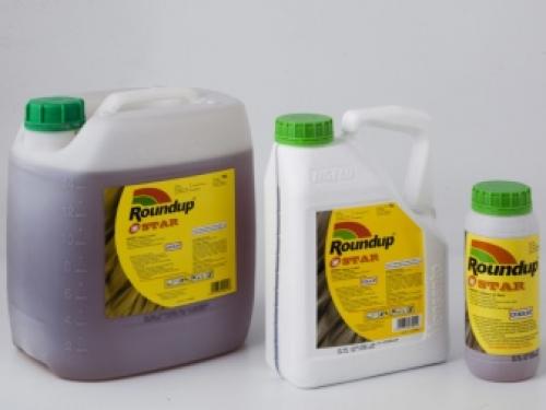 Как избавиться от нежелательного кустарника. Чем полить дерево, чтобы оно засохло? 01