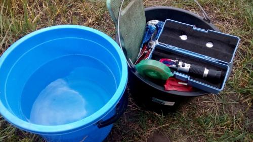 Сорт винограда паскаль. Всем мира и добра!