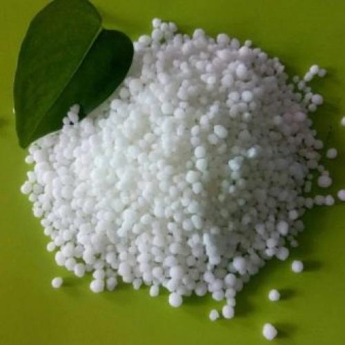 Гербициды для уничтожения деревьев. Популярные препараты 05