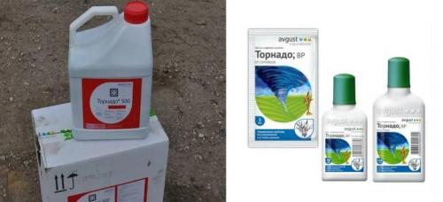 Гербициды для уничтожения деревьев. Популярные препараты 02