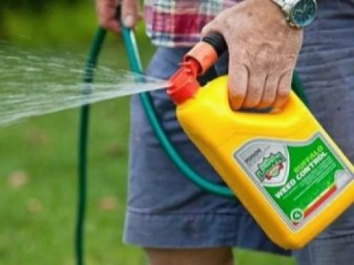 Уничтожение корней деревьев и кустов. Ручное корчевание 04