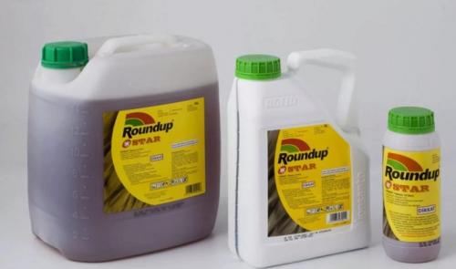 Гербициды для уничтожения деревьев. Популярные препараты 01