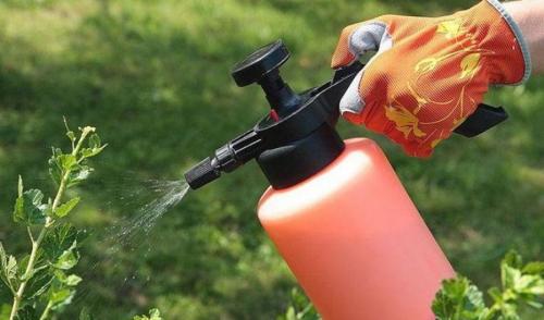 Как селитрой уничтожить сорняки. Безопасный гербицид от сорняков на огороде