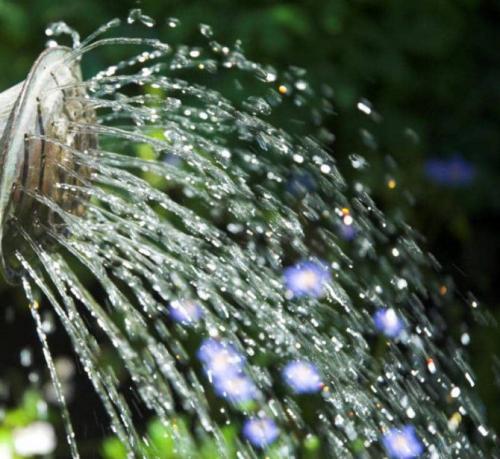 Как селитрой уничтожить сорняки. Безопасный гербицид от сорняков на огороде