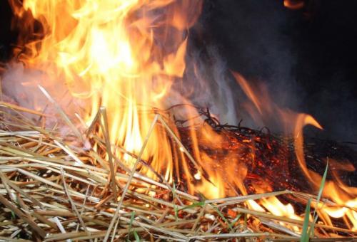 Как селитрой уничтожить сорняки. Безопасный гербицид от сорняков на огороде