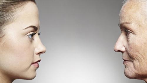 Клевер при беременности. Факторы, влияющие на фертильность