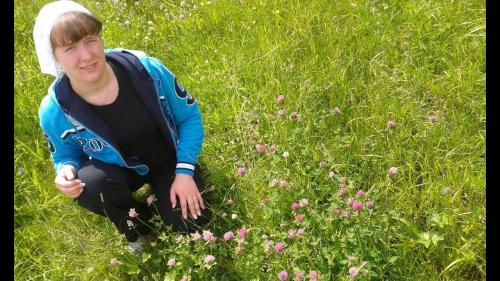 Что мы знаем о таком растении. Что мы знаем о растениях - знаках цветочного гороскопа? Мимоза 13