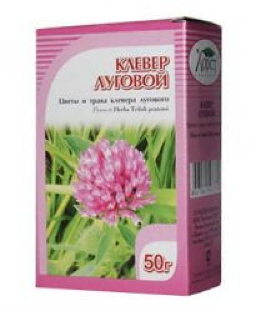 Что мы знаем о таком растении. Что мы знаем о растениях - знаках цветочного гороскопа? Мимоза 02