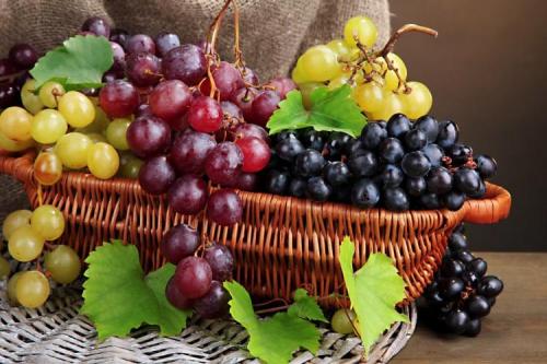 Самые вкусные сорта винограда. Лучшие сорта винограда: фото, названия и описания (каталог)