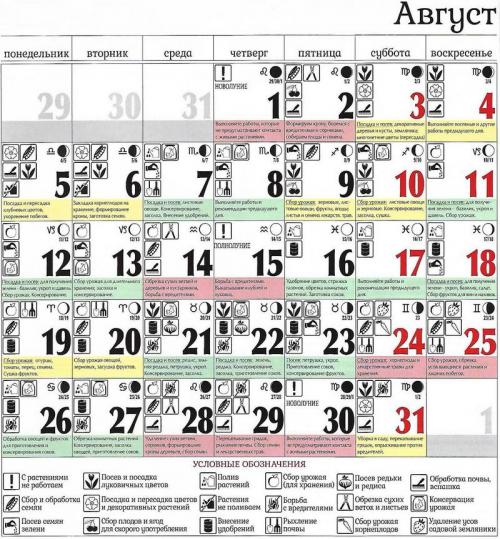 Обрезка плодовых деревьев в августе. Благоприятные дни в августе 2023 года для обрезки