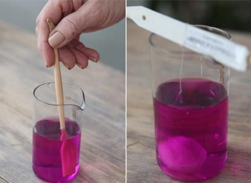 Как сажать ирисы луковичные. Выращиваем луковичные ирисы: особенности посадки и ухода