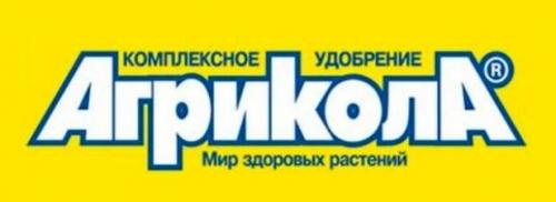 Луковичные ирисы в горшке. Заведите дома шагающий ирис — и вы не пожалеете