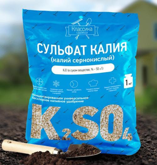 Какие удобрения лучше использовать для пионов молочноцветкового очарование, выращенных из семян. Какие минеральные удобрения вносить при посадке пионов