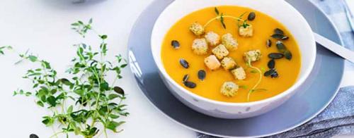 Какие рецепты можно приготовить из Тыквы ПРИКУБАНСКАЯ от Гавриш. Как приготовить вкусный суп-пюре из тыквы: 11 рецептов тыквенного супа