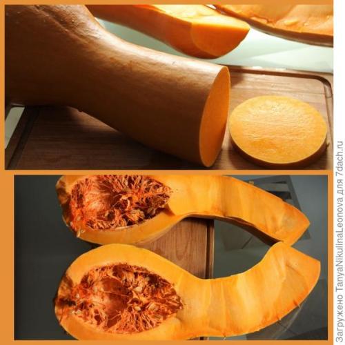 Что такое сорт Тыквы ПРИКУБАНСКАЯ от Гавриш. Тыква мускатная 'Прикубанская' - самые вкусные десерты!