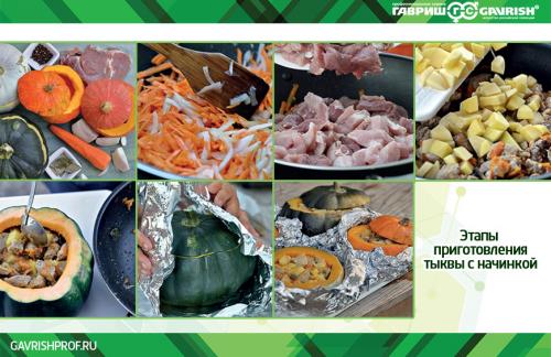 Тыква ПРИКУБАНСКАЯ от Гавриш: что это и как ее выращивать 12 Тыква ПРИКУБАНСКАЯ от Гавриш: что это и как ее выращивать 12