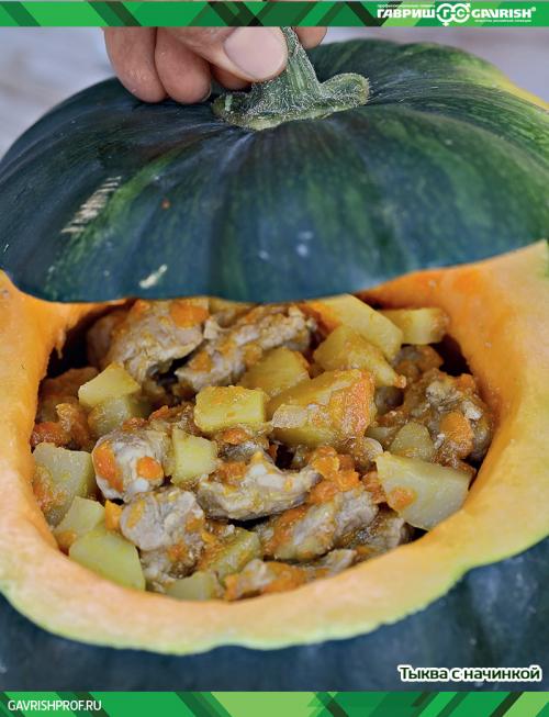 Тыква ПРИКУБАНСКАЯ от Гавриш: что это и как ее выращивать 13 Тыква ПРИКУБАНСКАЯ от Гавриш: что это и как ее выращивать 13