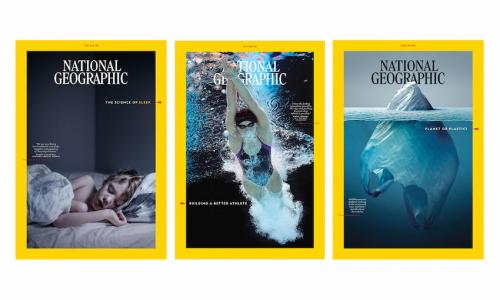 Какие техники используются для создания гармонии в сливе. Уро. Композиция и структура дизайна