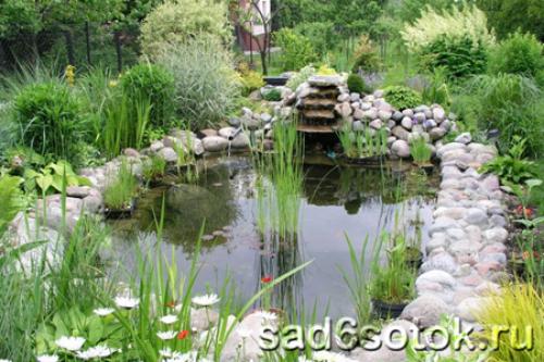 Удивительные цветы в моём саду: открытие красоты и разнообразия 10