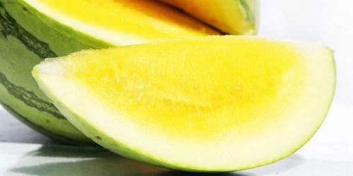 Желтый арбуз википедия. Желтый арбуз