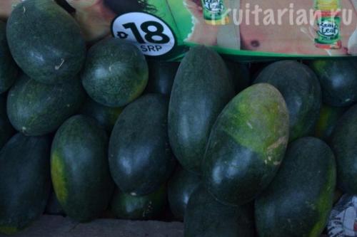 Оранжевый арбуз. Всё-всё-всё об арбузах в тропиках