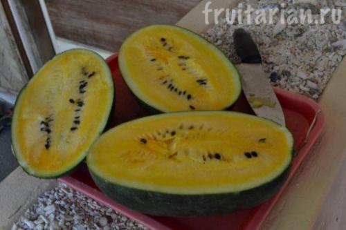 Оранжевый арбуз. Всё-всё-всё об арбузах в тропиках