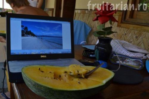 Оранжевый арбуз. Всё-всё-всё об арбузах в тропиках