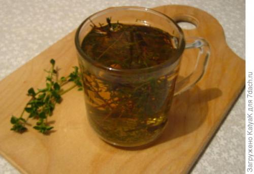 Тимьян медовый аромат выращивание. Тимьян овощной Медок, он же чабрец - ароматная пряность!