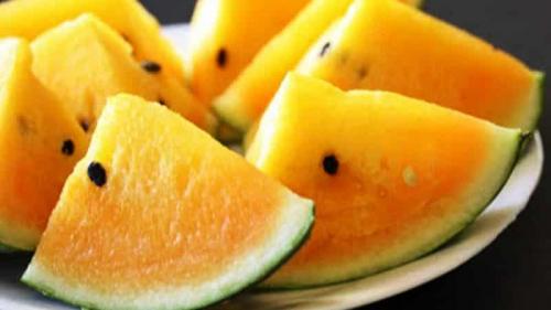 Почему арбуз желтый внутри. Описание и характеристика желтых арбузов