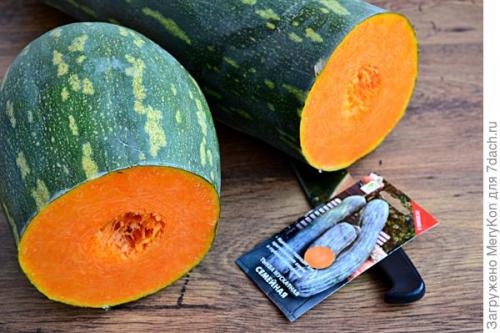 Тыква мускатная - описание. Тыква мускатная 'Семейная'