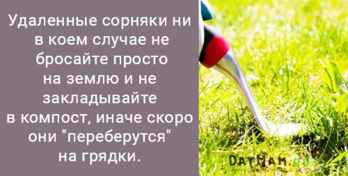 Как убрать траву с участка. Как избавиться от сорняков на даче навсегда? Очистить участок от травы — просто!