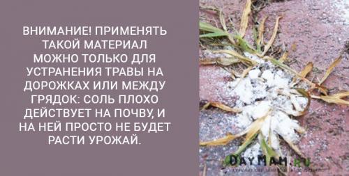 Как убрать траву с участка. Как избавиться от сорняков на даче навсегда? Очистить участок от травы — просто!