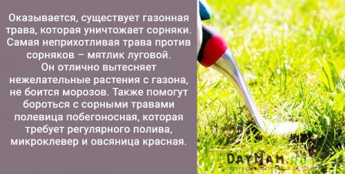 Как убрать траву с участка. Как избавиться от сорняков на даче навсегда? Очистить участок от травы — просто!