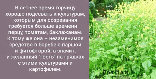 Как убрать траву с участка. Как избавиться от сорняков на даче навсегда? Очистить участок от травы — просто!
