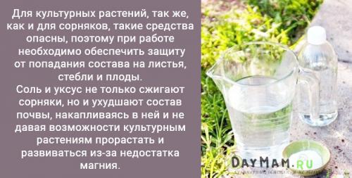 Как убрать траву с участка. Как избавиться от сорняков на даче навсегда? Очистить участок от травы — просто!