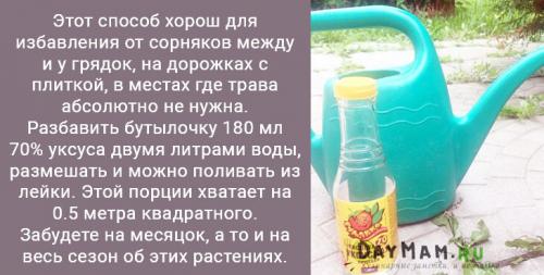 Как убрать траву с участка. Как избавиться от сорняков на даче навсегда? Очистить участок от травы — просто!